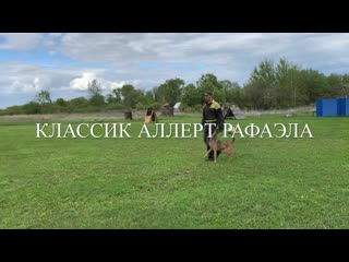 porn классик аллерт рафаэла тренироа норматива bh hd