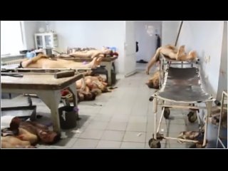 porn донецкий морг боевики заняли свои позиции hd