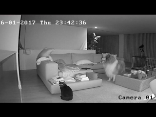 porn ночные паранормальные явления и молодые взлом камеры hd