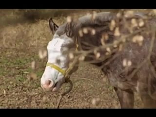 porn порнуха порево секс трахаются жарево анал сперма сосать минет hd