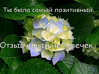 porn в память нашей самой доброй и отзывчивой подруге сестре и замечательной дочери hd