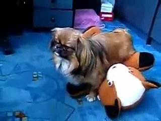 porn молодые потеряла сознание после секса с игрушкой hd