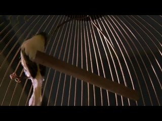 porn анджелина джоли и антонио бандерас голые в ванной hd