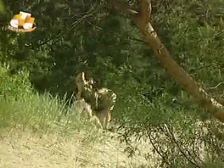 porn сюжет о пляже дюны на стс hd