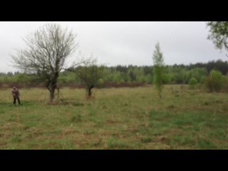 porn спонтанно смешной ролик получился hd