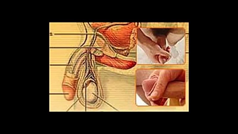 porn упражнения для увеличения мужского члена hd
