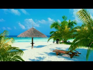 porn загорелая попка зэбосы пляжная видеоверсия hd