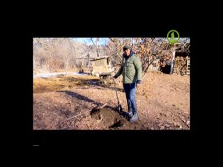 porn телепрограммапланета уса посвящённая армянской кухне hd