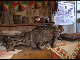 porn ценный сотрудник в музее истории улан удэ отметили 18 летие работы кота самуэля hd