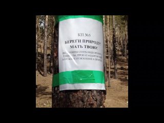 porn ролик пропагандирующий бережное отношение к природе hd