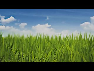 porn хочу меняться вегетарианство сыроедение фрукторианство hungry for change 2012 hd