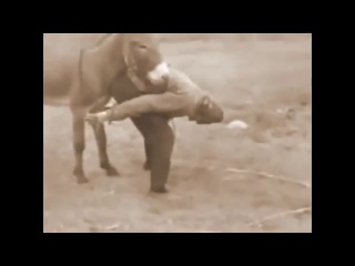 porn чурка тренеруеться ебаться с ослом hd