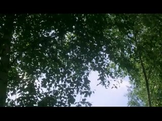 porn агент 69 йенсен в знаке скорпиона 1977 hd
