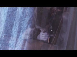 porn спартак часть 1 культура и психология секса 18 hd