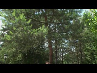 porn katarina hartlova 3 prowling for pud эротические массажи фильмы и актрисы 18 hd