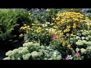 porn поль мориа последний день лета paul mauriat last summer day hd