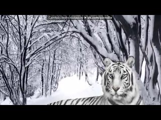 porn i love i porn i want под музыку лоя зачем ей все шелка цветные облаказачем все это зачемклассная песня hd