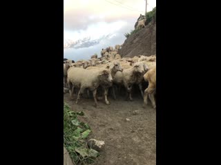 porn video img 0531 hd