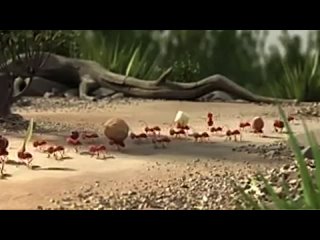 porn pixar animation studios муравьиная история мульт пиксар немецкая реклама сплотченность молодые hd