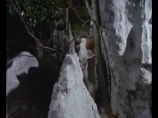 porn папесса одержимая бесами la papesse a woman possessed 1975 г мистика ужасы эротика hd
