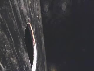 porn элитное мыло в виде классного члена 18 hd
