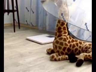 porn артхаус художественное кино секс анимэ порно эмо порно смешно лох ужас страшная бабуля хочет убить свою внучку hd