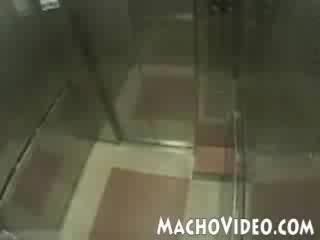 porn японский карлик молодые переодетый школьницей hd