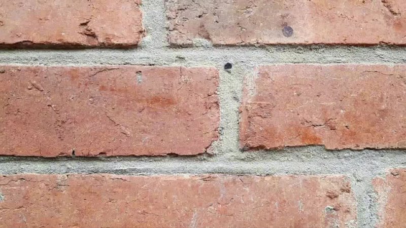 porn сенсационное заявление профессора онколога нейрохирурга рамина иманова о происходящем в мире 30 ноября 2021 года в hd