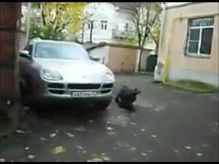 porn фирменная вертушечка доказательство что не ахахх слабонерным не смотреть порно порнух hd