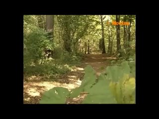 porn каазца выебли и не расплатились с обиделся дал пизды и ограбил своего любовникаddd hd