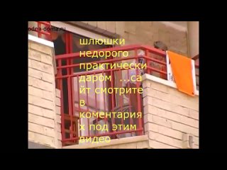 porn настоящий секс тот что начинается заканчивается неудержимой страстью девушка эротика сиськи стриптиз попа грудь сиси hd
