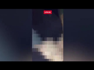 porn девушка занялась оральным сексом на глазах у пассажиров в самолете hd