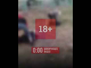 porn давай не жалей его на урале компания молодые жестоко избила двоих школьников и сняла всё на видео hd