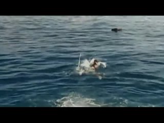 porn ф п amare 2008 однажды на море великобритания итальянский hd