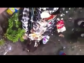 porn пьяная баба пиде не хозяйка очень пьяная молодые hd