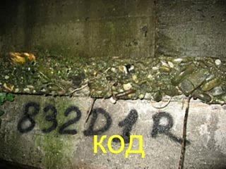 porn сиси кейч для тупых и озобоченых говорю ето не порнуха как вы подумали с ув т петров hd