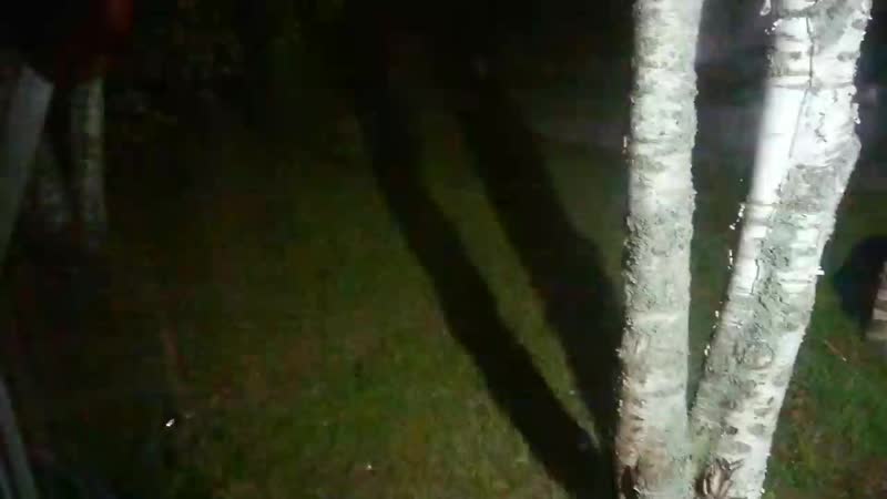 porn vds mov 0107 mp4 hd