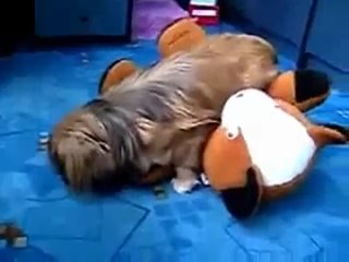 porn молодые потеряла сознание после секса с игрушкой hd