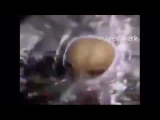 porn инопланетяне жестко флексят смотреть всем hd