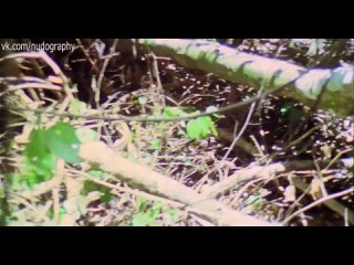 porn молодые и секс франчески кьярди francesca ciardi в фильме ад каннибалов cannibal holocaust 1980 руджеро hd
