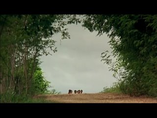 porn моя первая любовь моя девочка w 2 клуб фильмы про мальчишек films about hd