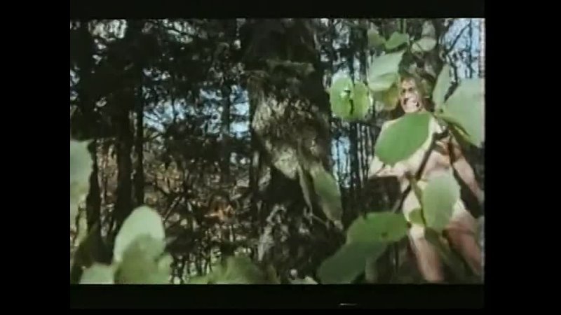 porn гензель и гретель заблудились в лесу 1970 hd