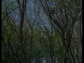 porn белоснежка и 7 гномов 18 сказка для взрослых hd