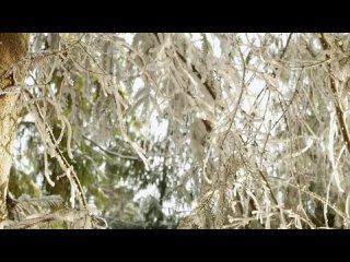 porn алла михеева голая фотосессия журнала maxim hd