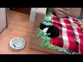 porn ммм знакомятся с роботом пылесосом ч 2 hd