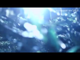 porn fmv cúc tịnh ytrương triết hạn 鞠婧祎张哲瀚 chạm vào trái tim chạm vào tình yê hd