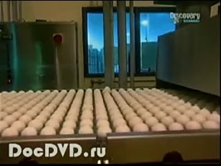 porn как заниматься сексом при беременности hd