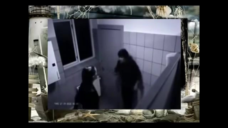 porn скрытая камера секс в туалете нельзя даме отказывать hd