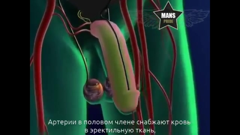 porn что такое импотенция и слабая эрекция hd