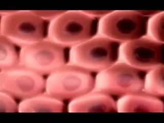 porn экстендер увеличение полового члена без операции hd